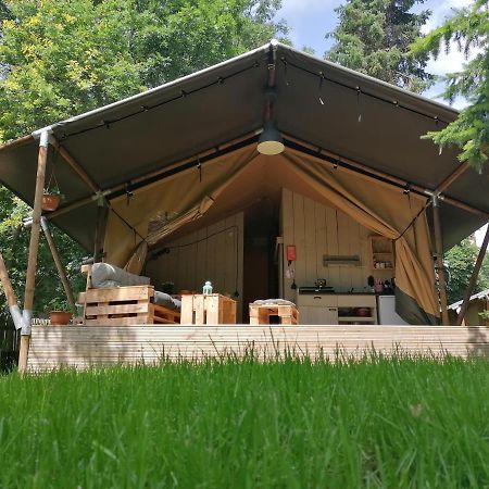 ホテルGutshof Tda-Lohma Langenleuba-Niederhain エクステリア 写真