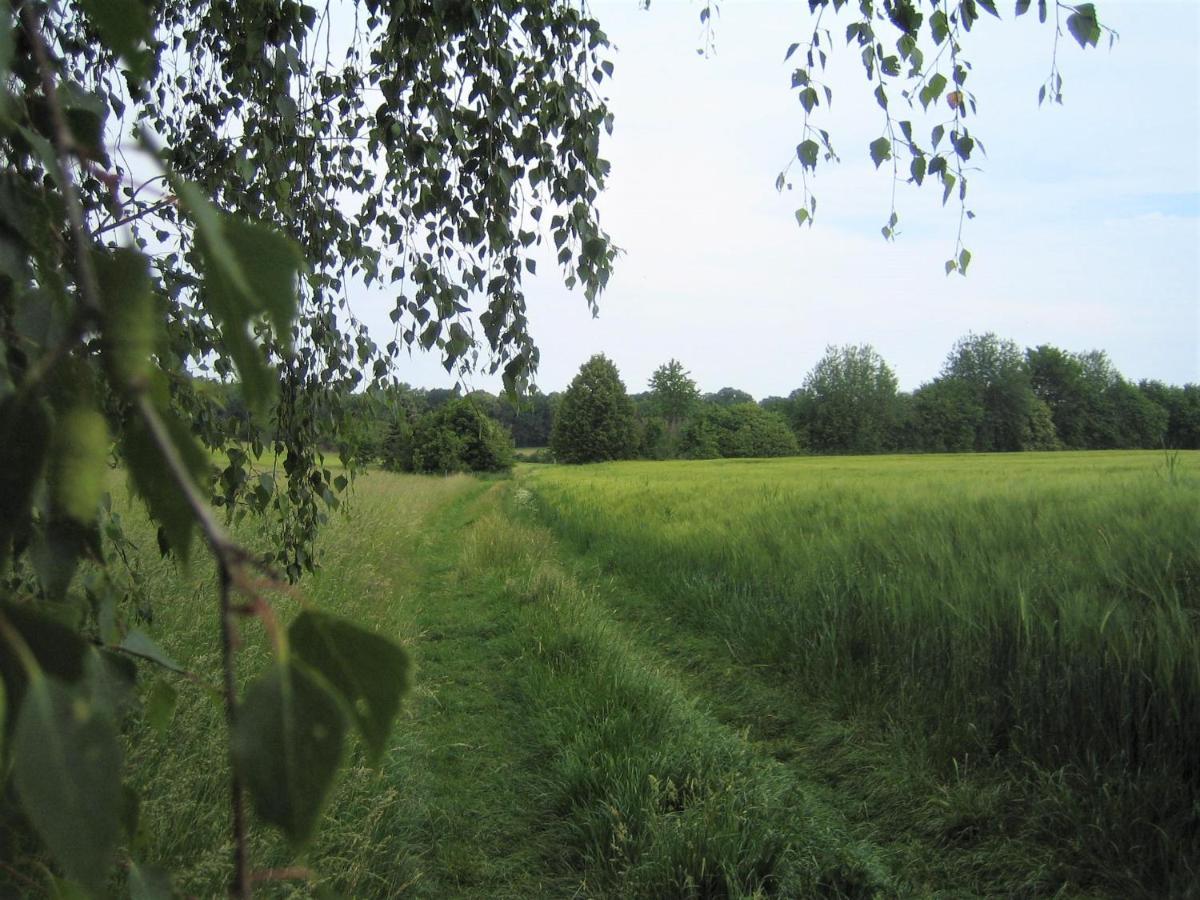 ホテルGutshof Tda-Lohma Langenleuba-Niederhain エクステリア 写真